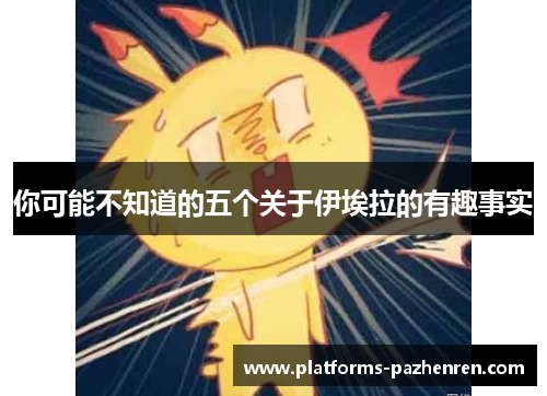 你可能不知道的五个关于伊埃拉的有趣事实