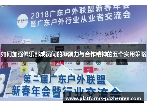 如何加强俱乐部成员间的凝聚力与合作精神的五个实用策略