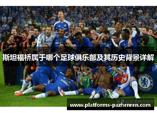 斯坦福桥属于哪个足球俱乐部及其历史背景详解