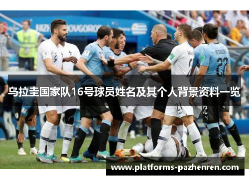 乌拉圭国家队16号球员姓名及其个人背景资料一览