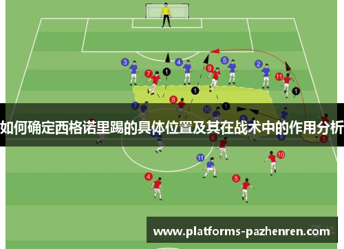 如何确定西格诺里踢的具体位置及其在战术中的作用分析