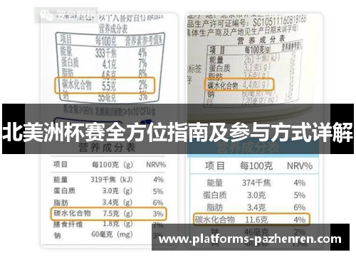 北美洲杯赛全方位指南及参与方式详解