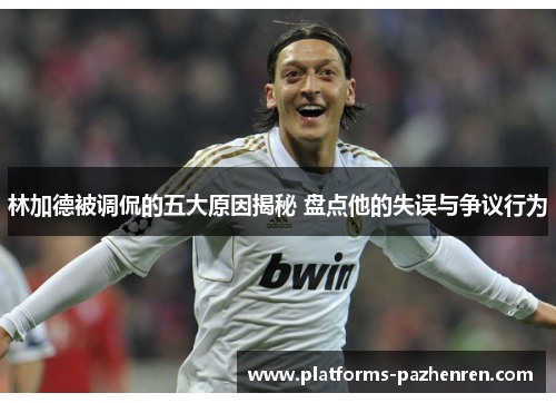 林加德被调侃的五大原因揭秘 盘点他的失误与争议行为