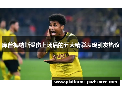 库普梅纳斯受伤上场后的五大精彩表现引发热议 库普梅纳斯受伤上场后的五大精彩表现引发热议